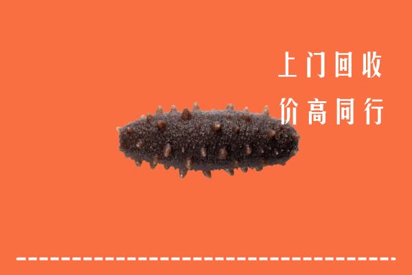沅陵县回收海参